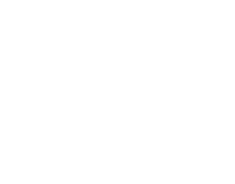 portfolio-details-fig